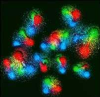 AIDS Created as Biowarfare, Says Nobel Laureate