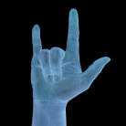 Hand Sign Image